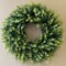 20” Wreaths for Front Door,Spring and Summer Eucalyptus Wreath